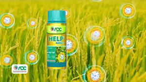 HELP 400SC (250mL) trừ Lem lép hạt đạo ôn khô vằn thán thư trên lúa tiêu cà phê (ADC)-Mã OR check hàng chính hãng