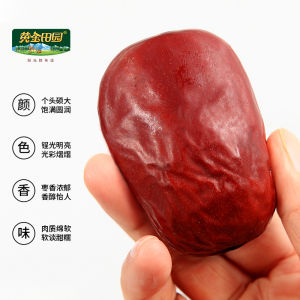 Non-Wash Red Jujube from Xinjiang Hot Drink Snack Premium Quality Large Jujube from Hetian Gold Field Product of China