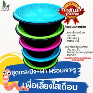 เซทกะละมังและฝาปิด ชูฟินิล์ ถูกฝ่าย พร้อมเฟ้ผากเข้มเล็ก เพื่อเลี้ยงไส้เดือน อุปกรณ์เลี้ยงไส้เดือน แบบง่ายๆ