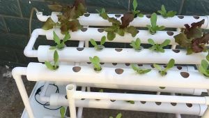 Hydroponic Farming Set DIY 4 Set NFT Channel Growing Systems for Vegetable Sistem Hidroponik - 36 Holes 水耕法系统