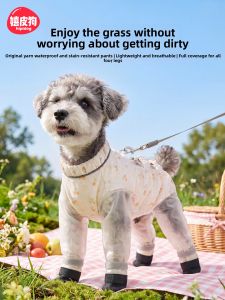 hipidog | Dust-proof Dog Leggings Summer Anti-dirty