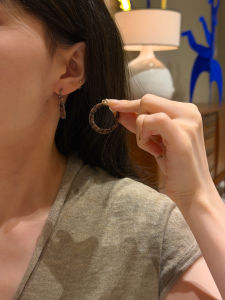 Simple Elegant Leopard Print Hoop Earrings Fashionable Minimalist Style Alloy Jewelry Silver Gold Plated Ear Cuffs