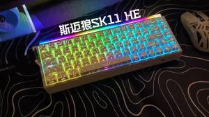 SMAILWOLF | Bàn Phím Cơ Chơi Game SMAILWOLF SK11 68HE E-Sports RGB Hỗ Trợ Thay Nóng Kích Hoạt Nhanh Tốc Độ Phản Hồi 8K Có Dây Tùy Chỉnh