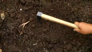 Pacul Taman Kebun 2In1 Cangkul Garpu Peralatan Berkebun Gagang Kayu