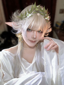 alice garden | Sweet Fairy Style Jk Wig