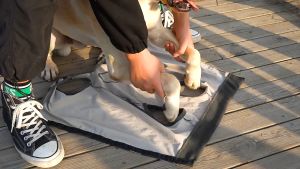 Áo chống liếm cho Chó lớn áo cai sữa màu sọc xanh (đo kích thước trước khi chọn size) mẫu mới - Hara Pet Store
