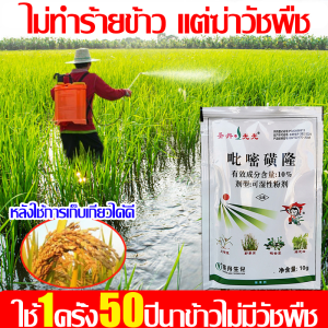 🌾1วันกำจัดวัชพืชให้หมด🌾ยาฆ่าหญ้า ซื้อ1แถม1 ยาฆ่าหญ้าในนาข้าว ไม่ทำร้ายข้าว แต่ฆ่าวัชพืช ยาฆ่าหญ้าในนา กำจัดวัชพืชไนนาข้าวได้ 99% สารกำจัดวัชพืชในนาข้าว ยาฆ่าหญ้าในนาขาั้ว หลังใช้ ไม่มีวัชพืชอีกต่อไป ยาคุมหญ้าข้าว - Lazada