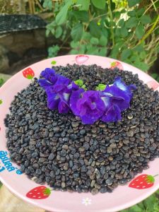 เมล็ดอัญชันม่วง5ชั้น 100 เมล็ด เทพพระรัตน์ไพรินทร์63