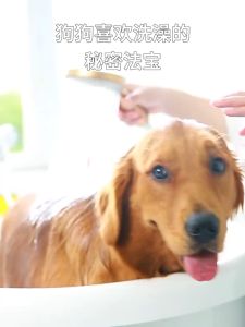 Soft Rubber Dog Brush Comb Cat Bath Brush Rubber Glove Hair Fur Grooming Massage Brush For Dog Cats 12.3*9.7cm