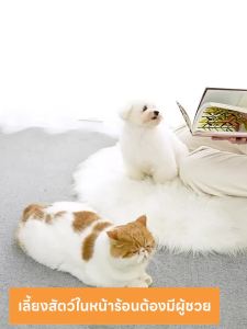 Pet Cooling Mat แผ่นเจลรองนอน  เบาะนอนเย็น สำหรับสุนัขและแม เสื่อสัตว์เลี้ยง ที่นอนเย็น แผ่นทำความเย็น เสื่อทำความเย็นสำหรับสัตว์เลี้ยง