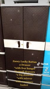 Zooey Lucky Rattan 2 Drawers Wardrobe/Clothes Organizer