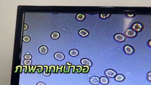 กล้องจุลทรรศน์ ตาเดียว 1600x พร้อมจอ LCD 9 นิ้ว ปรับอุณหภูมิ Microscope กล้องไมโครสโคป