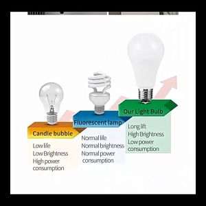 BÓNG LED BÚP TRÒN 5W/ 7W/ 9W/ 12W SÁNG TRẮNG - TIẾT KIỆM ĐIỆN GIA ĐÌNH