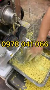 Máy làm viên hoàn bán tự độngvo viên trân châuvo viên bánh nhãn tự động hoàn toàn AW95 - bảo hành 12th