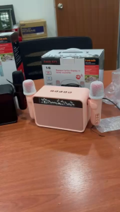 Family KTV Y16 Audio Portable KTV Wireless Speaker Radio Microphone Sing Karaoke