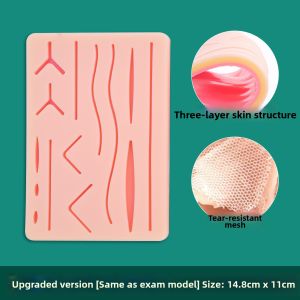 ZHONGLIANG | Surgical Practice Model for Skin Incision Wound Management Muscle Puncture Oral Suture