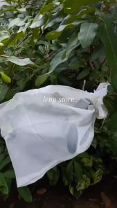 ❤LENYS❤ brongsong buah kelengkeng besar pembungkus buah klengkeng kain penutup tanaman buah brongsongan anggur apel jambu jeruk blongsong kelengkeng besar putih
