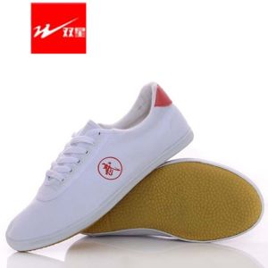 Authentic Double Star Martial Arts Shoes White for Men Tai Chi Shoes Womens Shoes Canvas Tendon Bottom Summer Sneakers Practice Shoes Tai Chi