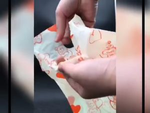 READY STOCK Plastic Bag Thank you Packaging Goodies Gift Bag Wedding Shopping Bag Birthday Party