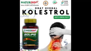 Obat Herbal Kolestrol kolesterol asam urat tinggi penurun kolesterol trigliserida lemak jahat batu melancarkan pelancar peredaran darah leher pegal kaku alami paling ampuh jamu Biolipid Naturindo hasianherbal