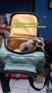 BONDING TRAVEL POUCH KARAKTER SG TAS BAWA HEWAN PET CARGO MURAH