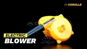 BLOWER.mp4