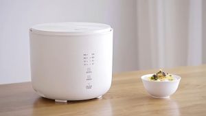 Olayks 2L Mini Low Sugar Rice Cooker Multifunction Rice Cooker With Steamer Desugar Periuk Nasi Porridge Soup Cooker 迷你电饭锅 低糖电饭煲 OLK-20C