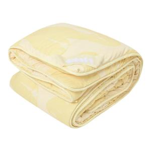 T-B-H | Spring and Autumn AC Quilt