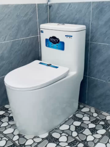 L.Hê Freeship Bồn cầu liền khối thế hệ mới sang trọng men AQUA CERAMIC kháng khuẩn cao cấp Xả xoáy kết hợp đẩy cực mạnh - Bảo hành 15 năm
