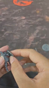 MÀU TÔ BASE: KHORNE RED (12ML) - EMPIRE CENTRAL