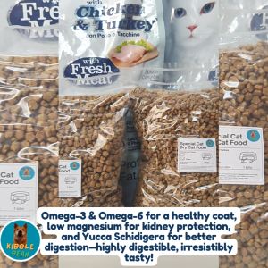 Special Cat All Life Stages Chicken and Turkey Dry Cat Food (1KG)