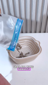 Vusign Drain Basket / Keranjang Pengering Sayuran Buah Wadah Peniris Cuci Sayur Buah Saringan Serbaguna 6 Pcs Multifungsi VS1230X