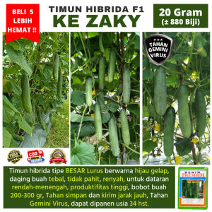 (BELI 5 LEBIH HEMAT) Benih Timun BESAR LURUS Hibrida F1 KE ZAKY 20 gram (±880 biji) Tahan Virus Benih Premium | Bibit Ketimun Rujak Besar | Biji Mentimun Hijau Gelap | Timun Jepang Panjang Super | Ketimun Hijau |Timun Metavi | Timun Hercules timun mira