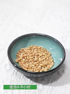 Organic Cat grass seeds Can Be Grown With Or Without Soil Cat Grass Treats