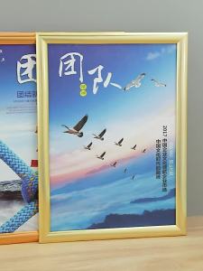 SHANCHEN | Simplistic Wall Hanging Photo Frame Aluminum Alloy Custom Mounting Cross Stitch Puzzle Poster