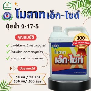 โมสาทเอ็ก-ไซท์ 100% ช่วยลดการหลุดร่วง ชุ่มชื่นและขนาด 5 ลิตร สำหรับแท้คลินิกชิ้น ขั้วเหนียว