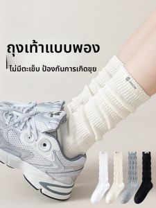 MiiOW | ถุงเท้าผ้าฝ้ายสีพื้นสำหรับผู้หญิง MiiOW Cat ป้องกันการลื่น ระบายอากาศได้ดี ทรงยาวถึงข้อเท้า สไตล์เกาหลี ถุงเท้าผู้หญิง 2025 ฤดูใบไม้ร่วง