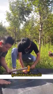 คลุมวัชพืช กำจัดวัชพืช พลาสติก-ผ้าคลุม พลาสติกเกรดส่งออก ผสม UV ฆ่าหญ้า ถูกถ่ายใน 1 เดือน 1-4 ปี คลุมวัชพืช 10 ม. กำจัดเหยวหญ้า ถูกชายจาก ร้านกรุงเทพ