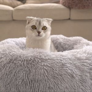 Tempat Tidur Kucing Lembut & Selesa Pet Pumpkin Bed Comfy & Soft Kennel House Cute Washable Katir Kucing 宠物 狗 猫 床