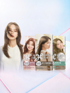 KAO | New Foam Hair Dye Gray Brown