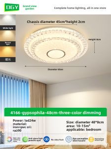 DGY | Modern Luxury Full Spectrum Eye Protection Ceiling Light
