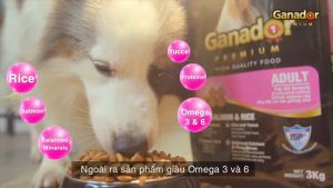 400g-1kg Hạt Ganador Nhiều Vị Dành Cho Chó Con & Chó Trưởng Thành