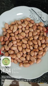 Đậu Phộng Tách Vỏ Loại 1 – Lạc Nhân Hà Tĩnh – Nông Sản Vườn Quê – Túi zíp 1kg – Hạt to béo ú ụ