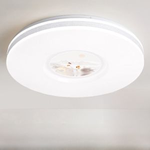 Lampshade Shell Cover 23 Bedroom 30 Separate 35cm Acrylic round LED Ceiling Luminaire Surface Mounted Luminaire plus without Light Kit