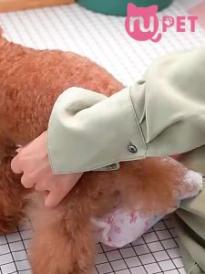 Tã bỉm quần vệ sinh cho chó cái Dono lẻ 1 miếng