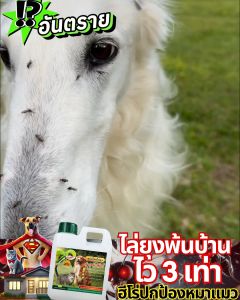 WELDY สเปรย์ไล่ยุง น้ำยาไล่ยุง สเปรย์ฉีดไล่ยุง สารสกัดออแกร์นิค ปลอดภัยต่อสัตว์เลี้ยง ใช้ฉีดบริเวณตัวสัตว์ ไล่ยุง ไล่มด ไล่แมลง สมุนไพรไล่ยุงสัตว์เลี้ยง
