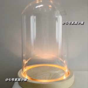 Prince Little Wild Rose King Storage Box DIY Scenery Bubble Display Case Glass Cover Figure Showcase Bedroom Organizer