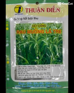 Hạt giống Rau muống lá tre cực dễ trồng nảy mầm 100% hàng Công Ty Thuận Điền