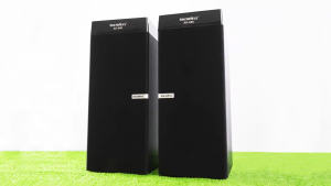 Loa Di Động Soundmax Ak-800