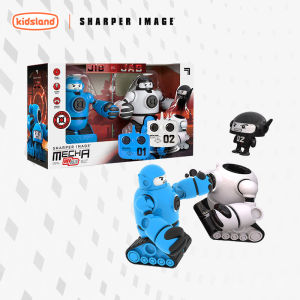 Remote Control Two-Player Battle Toy Set
